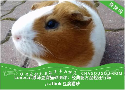 Lovecat原味豆腐猫砂测评：经典配方品控还行吗,catlink 豆腐猫砂